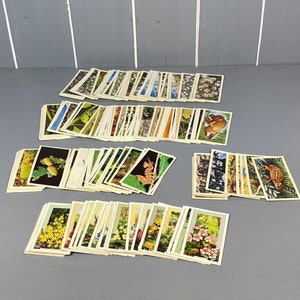 Collection of 150+ Vintage Cigarette Cards, 4 Sets of Wild Flowers.