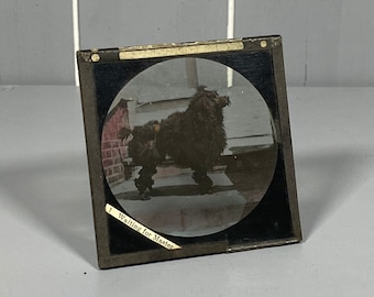 Antique Magic Lantern Slide, “Waiting for Master”