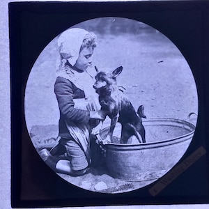 Antique Glass Black and White Magic Lantern Slide, by Early 20th century Slide, Edwardian Little Girl Washing her Dog