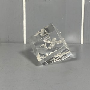 Vintage Owl Etched Acrylic Decroative Cube.