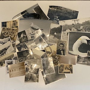 Lot of 50 Assorted Random Photographs Black & White, Sepia, Vintage Photos