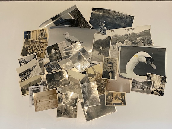 Lot of 50 Assorted Random Photographs Black & White, Sepia, Vintage Photos