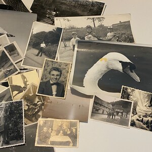 K&ouml;nnte beinhalten: Eine Sammlung von Schwarzwei&szlig;fotos, von denen einige Personen, Tiere und Landschaften zeigen. Die Fotos sind in zuf&auml;lliger Reihenfolge auf einer wei&szlig;en Oberfl&auml;che angeordnet.