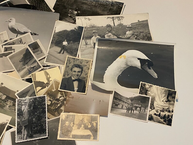 K&ouml;nnte beinhalten: Eine Sammlung von Schwarzwei&szlig;fotos, von denen einige Personen, Tiere und Landschaften zeigen. Die Fotos sind in zuf&auml;lliger Reihenfolge auf einer wei&szlig;en Oberfl&auml;che angeordnet.