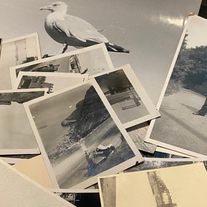 K&ouml;nnte beinhalten: Eine Sammlung von alten Schwarzwei&szlig;fotos, einige zeigen Landschaften, eine M&ouml;we und eine Person, die auf einem Weg steht.