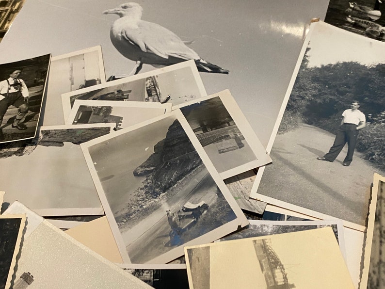 K&ouml;nnte beinhalten: Eine Sammlung von alten Schwarzwei&szlig;fotos, einige zeigen Landschaften, eine M&ouml;we und eine Person, die auf einem Weg steht.