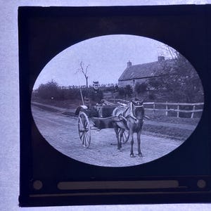 Antique Glass Black and White Magic Lantern Slide, by Early 20th century Slide, Edwardian Horse and carriage