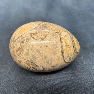 May include: A smooth, oval-shaped stone in beige and brown tones. The polished surface reveals natural patterns and markings. This decorative stone is a unique item.