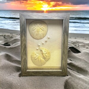 Legend of the sand dollar shadow box with authentic sand dollars from San Diego. Includes free DIGITAL calendar and PHYSICAL poem card.