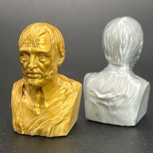 May include: Two bust sculptures, one gold and one silver, of a man with short hair and a beard. The sculptures are detailed and realistic.