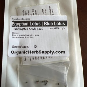 Nymphaea caerulea Blue Egyptian Lotus Sacred Water Lily Blue Lotus 10 Seeds Pack, Shipped from Los Angeles afbeelding 2
