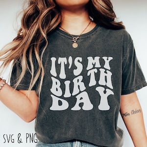 Verjaardag Svg-bundel Een keer voor de verjaardag Bitch Svg The Birthday Girl Svg The Birthday Dude Png Het is mijn verjaardag Groovy Retro Wavy Text