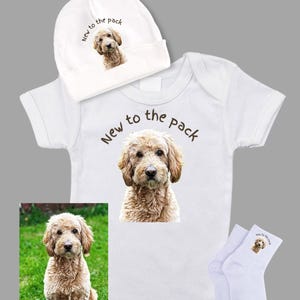 May include: A white baby gift set with a light brown dog illustration. The set includes a onesie, hat, and socks, all bearing the text "New to the pack". The image also includes a photo of the dog.