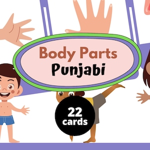 Learn Punjabi Body Parts | Punjabi Flashcards for Kids & Beginners | Digital Downloadable PDF