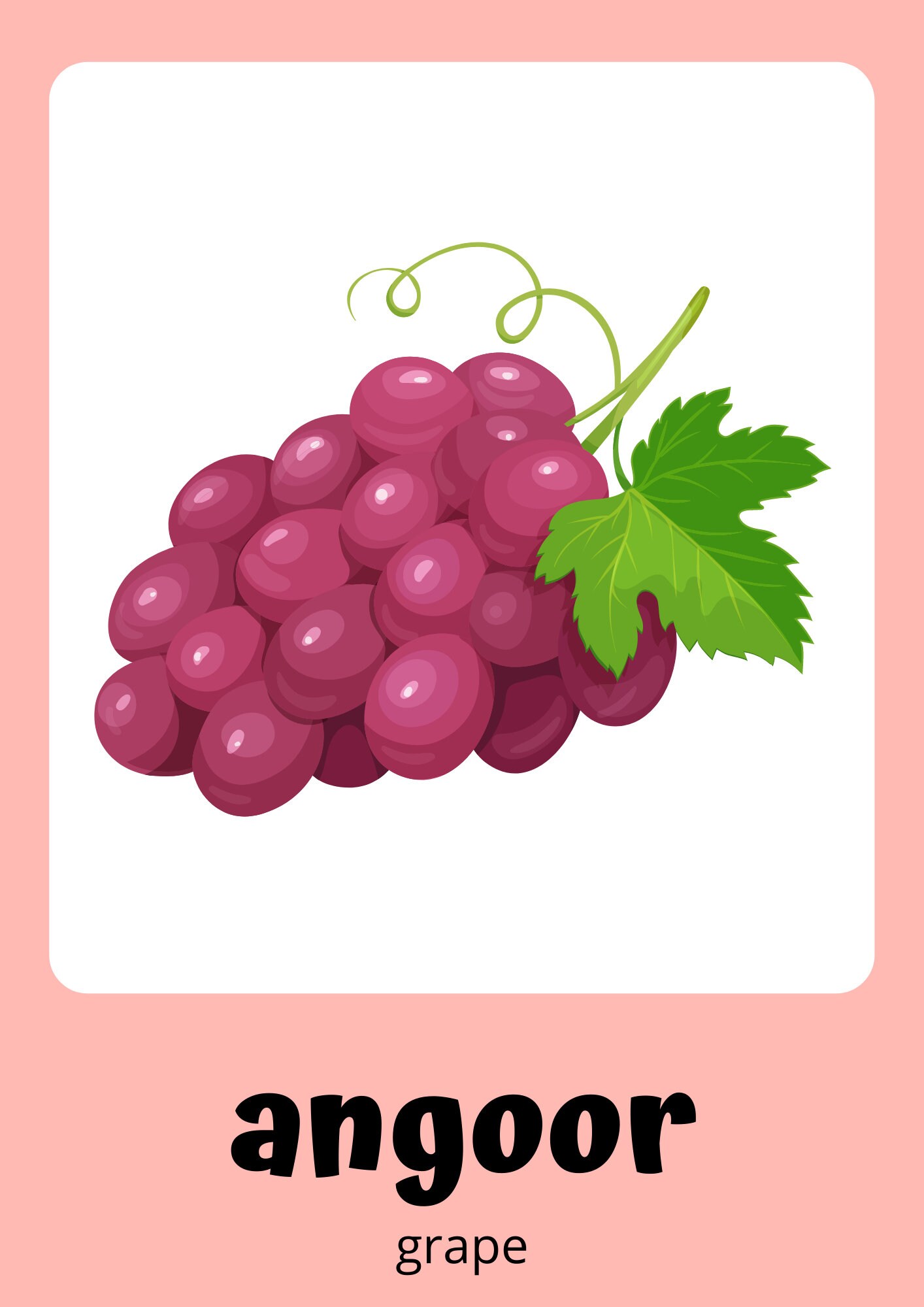 Punjabi Flashcards, Learn English/punjabi Fruits, 25 Punjabi Flash ...