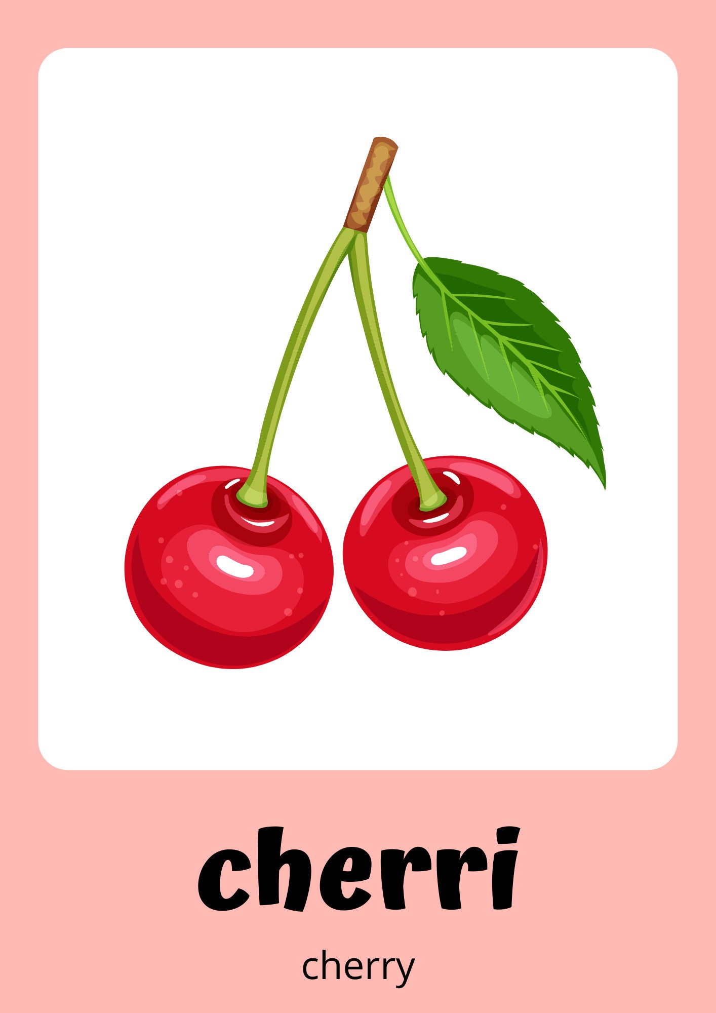 Punjabi Flashcards, Learn English/punjabi Fruits, 25 Punjabi Flash ...