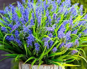 Flores artificiales de lavanda Plantas falsas al aire libre - 20 paquetes Cara exterior Plástico Resistente a los rayos UV No se decolora Arbustos de primavera sintéticos Boda - Púrpura