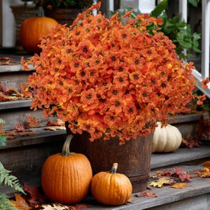 Artificial Mums Flowers: UV Resistant Orange & Yellow Fall Decor