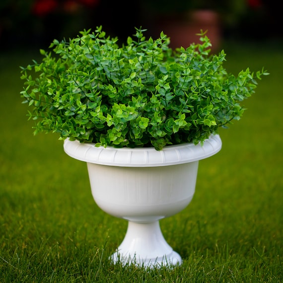 Artificial Plants Outdoor Fake Boxwood Shrubs Wedding Bundles Artificial Greenery Stems UV Resistant No Fade Faux Plastic Flowers Green Etsy UK