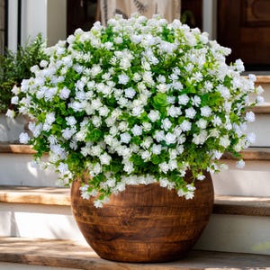 May include: A large, round, wooden planter filled with lush greenery and small white flowers. The planter sits on wooden steps, showcasing a natural, rustic aesthetic. The arrangement is overflowing, creating a full, vibrant display.