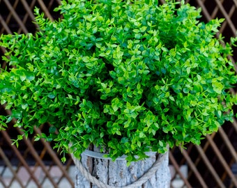 Artificial Plants Outdoor Fake Boxwood Shrubs - Wedding Bundles Artificial Greenery Stems UV Resistant No Fade Faux Plastic Flowers - Green