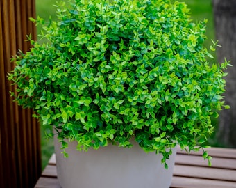 UV Resistant Artificial Boxwood Shrubs: Outdoor Wedding Greenery