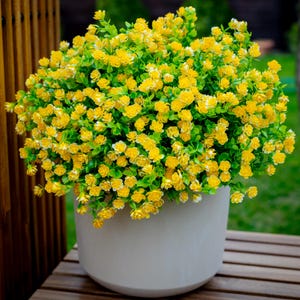 Fake Artificial Flowers for Outdoors - 24 Bundles Faux Outdoor Plants Plastic UV Resistant Shrubs No Fade Fall Greenery Bushes - Yellow