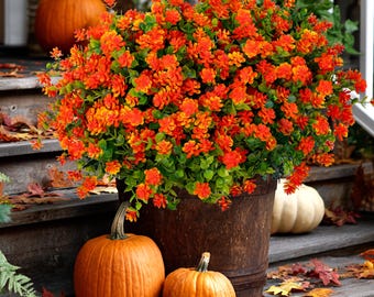 Artificial Mums Flowers: UV Resistant Orange Faux Shrubs