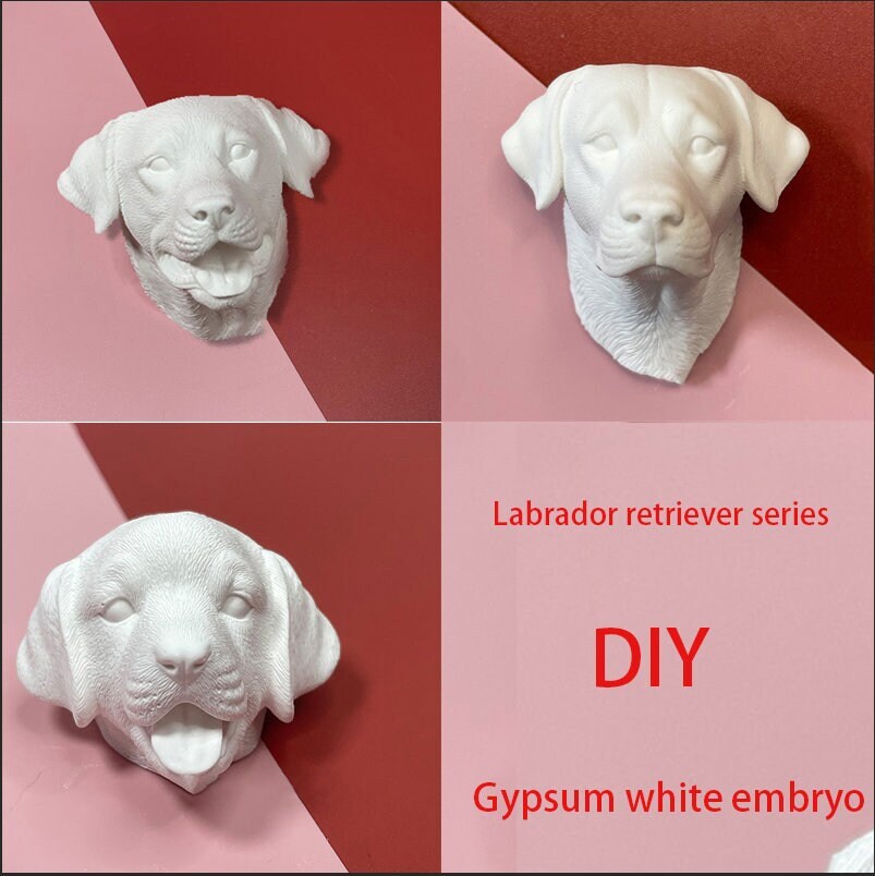 Is Gypsum Toxic To Dogs Is Gypsum Toxic To Dogs