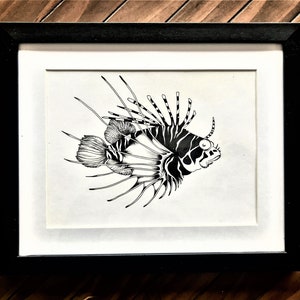 Scorpionfish - Original illustration with fine marker in Indian ink