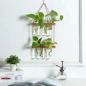 Propagation Station | Propagation Vases | Test Tube Planters | Hanging Planters