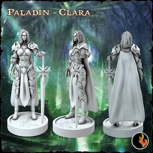 Elf Paladin Miniature | Female Elf Paladin Miniature | for D&D 5e, Pathfinder and other RPG&#39;s | 28mm | 32mm | 75mm