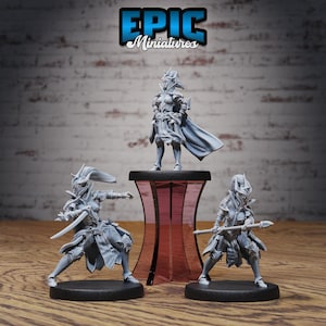 Può includere: Tre miniature in plastica grigia di guerriere femminili che indossano armature ed elmi. Le figure sono in pose diverse, una tiene una spada, una una lancia e una sta in piedi con le mani sui fianchi. Le figure sono su basi nere e sono esposte su una superficie di legno.