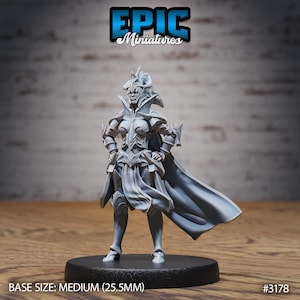 Op de afbeelding: Grijze plastic miniatuur van een vrouwelijke figuur die een harnas en een vloeiende cape draagt. De figuur staat op een zwarte basis. De basis is gelabeld "BASE SIZE: MEDIUM (25.5MM)" en "#3178".