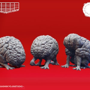 Peut inclure: Trois sculptures de cerveau grises avec de petites jambes sont présentées sur un fond rouge. Les cerveaux ont des crêtes et des plis détaillés, et les jambes sont petites et trapues. Les sculptures sont dans différentes poses, dont une accroupie et une autre debout.