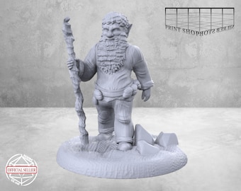 Gnome Druid Miniature | Gnome Druid Miniature | Heroic Character | Tabletop RPGs like D&D or Pathfinder | 28mm