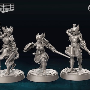 May include: Three grey painted miniature figurines of female warriors with weapons and armor. The figures are posed in a dynamic stance and are ready for battle. The figures are on circular bases.