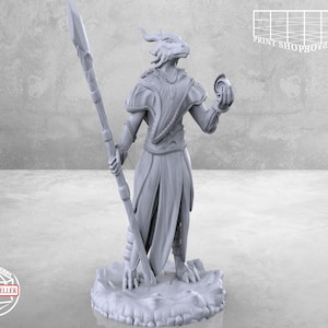 Half Dragon Wizard Miniature | Half-Dragon Sorcerer Miniature | Heroic Character | Tabletop RPGs like D&D or Pathfinder | 28mm
