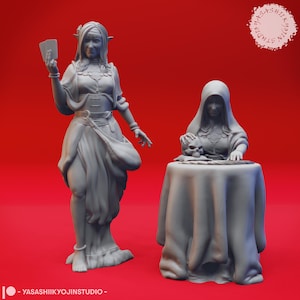 Set de miniaturas de adivina | Pack de figuras de adivina femenina | PNJ de la ciudad | para D&D 5e, Pathfinder y otros juegos de rol | 32 mm | 54 mm