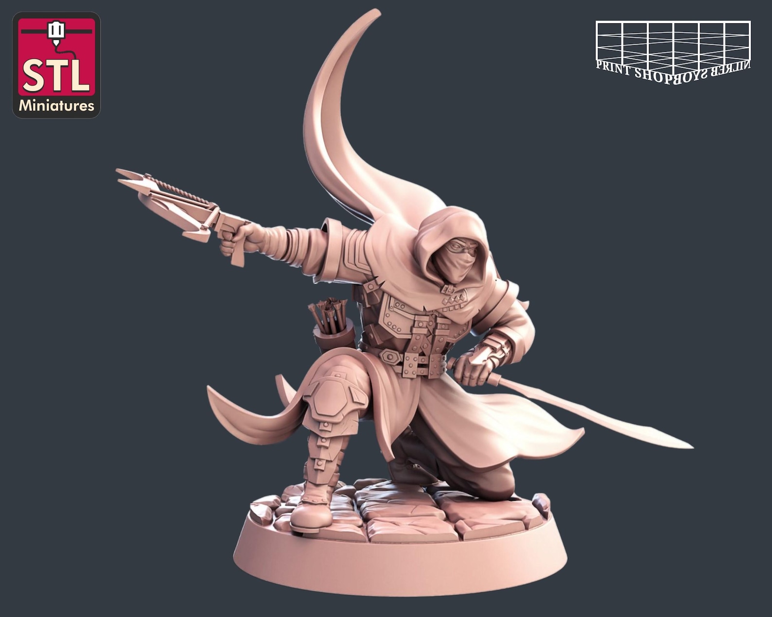 Rogue - the Assassin Miniature | Male Assassin Rogue Miniature | Heroic ...