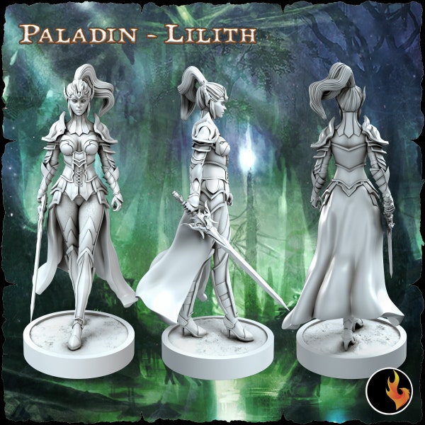 Elf Paladin Miniature | Female Elf Paladin Miniature | for D&D 5e, Pathfinder and other RPG's | 28mm | 32mm | 75mm