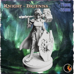 Miniatura de clériga elfa | Miniatura de campeona elfa | Para D&D 5e, Pathfinder y otros juegos de rol | 28 mm | 32 mm | 75 mm