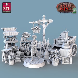 Flower Shop with Saleswoman Miniature Set | Florist Stand Figure Pack | Townsfolk | NPC | for D&D 5e, Pathfinder and other RPG&#39;s | 32 mm