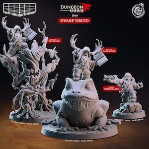 May include: A collection of miniature fantasy figures, including a dwarf druid, a toad rider, and a wildspeaker. The figures are gray and detailed, with the dwarf druid figures holding books and standing on a tree and a large toad. The text "Dungeon Guild 944 Dwarf Druid" is visible.