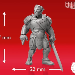 Hobgoblins Miniatur Set Hobgoblin Warband Miniature Pack for D&D 5e ...