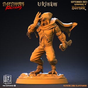 Owlfolk Rogue Miniature | Owlin Rogue Miniature | for D&D 5e, Pathfinder and other RPG&#39;s | 32mm