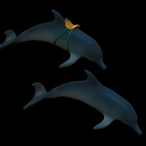Dolphin miniature | Dolphin Mount Miniature | Tabletop RPGs like D&D or Pathfinder | 28mm