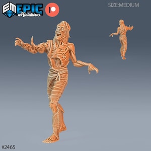 Miniatura de zombi podrido | Miniatura de zombi podrido | para D&D 5e, Pathfinder y otros juegos de rol | 28 mm | EPIC Miniatures