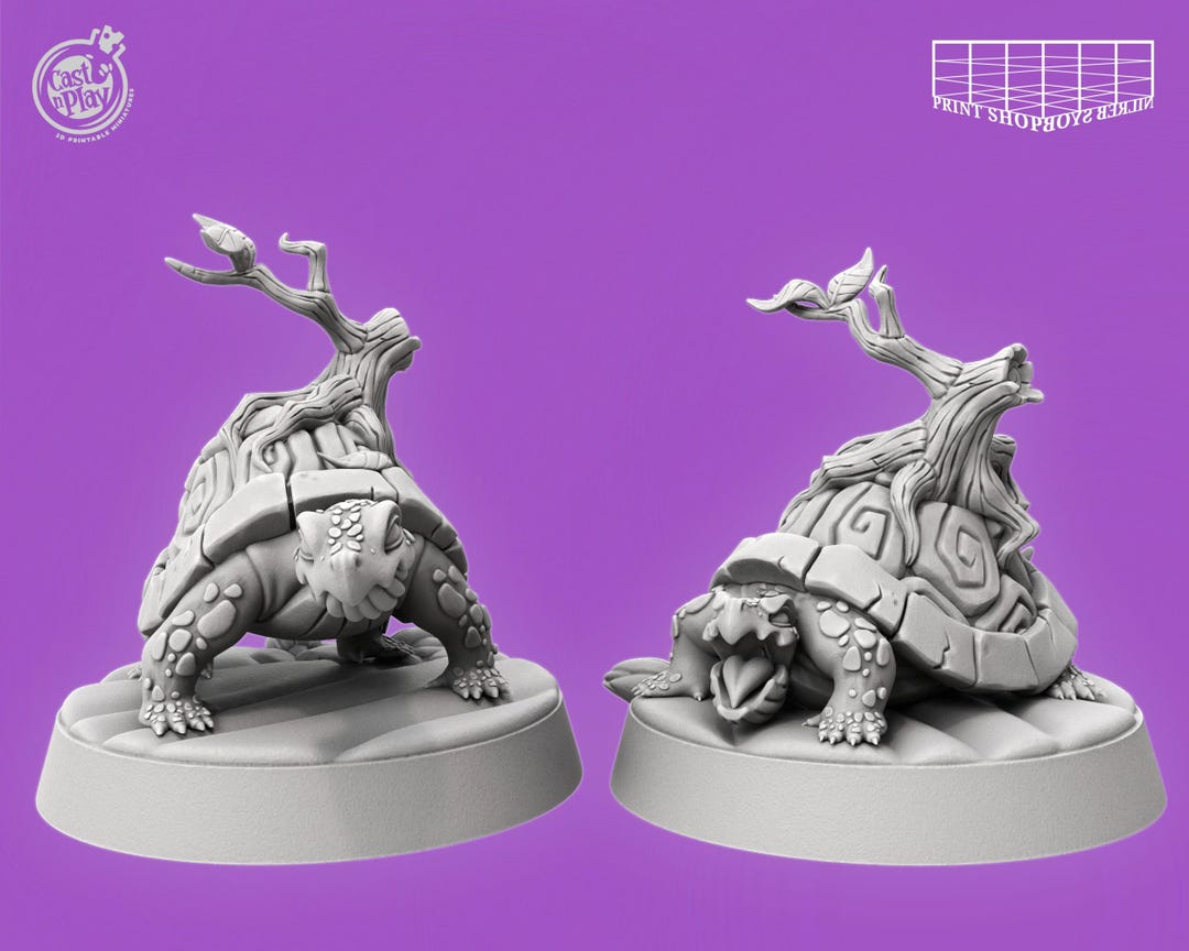 Turtle Miniature Set | Droughtoise Figure Pack | Forest Companion | for ...