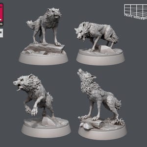 May include: Four 3D printed wolf miniatures in different poses. The wolves are gray and have detailed fur. Each wolf is standing on a base with a rocky or grassy texture.